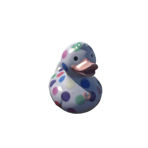 duck_05