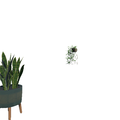 Plants