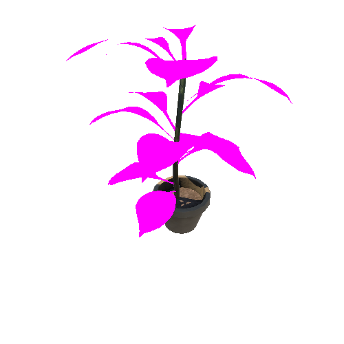 Plant_1