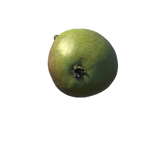 pear_04