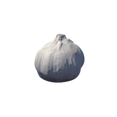 garlic_01