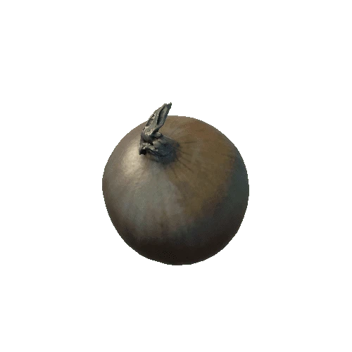 onion_03