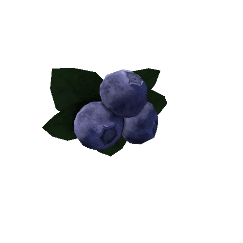 Blueberries_prefab