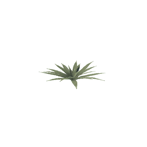 Desert_Plant_01