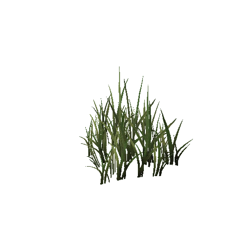 Grass_Group_03