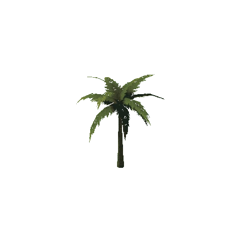 PalmTree_1_s1