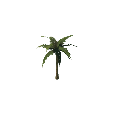 PalmTree_1_s2