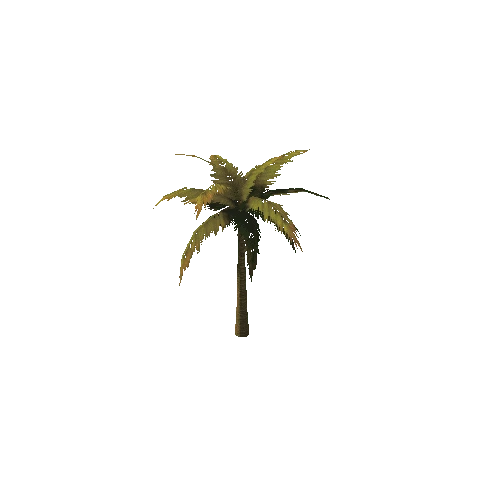 PalmTree_1_s5