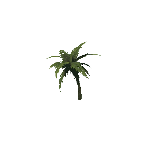 PalmTree_2_s2