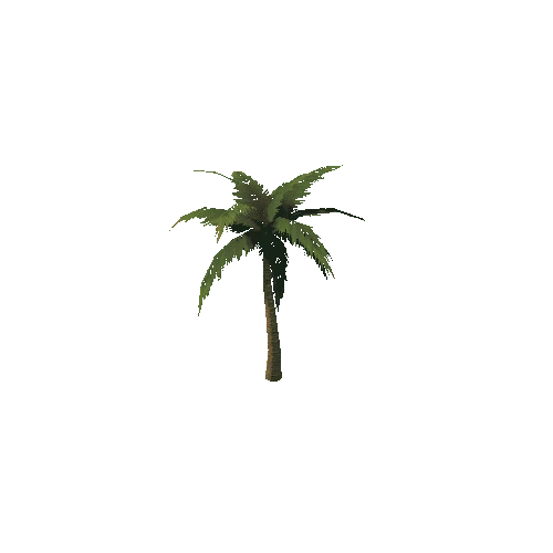 PalmTree_3_s2