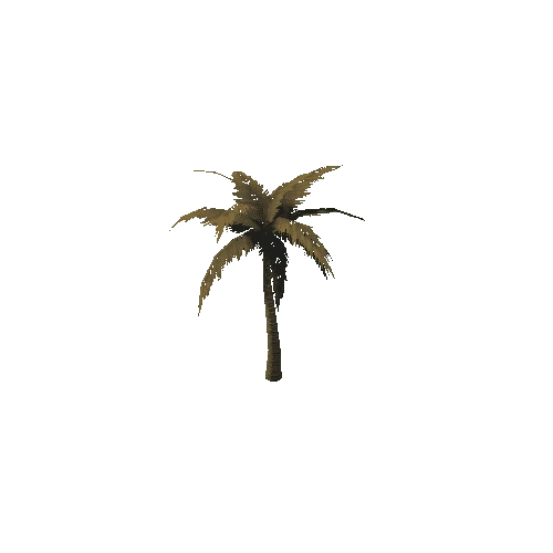 PalmTree_3_s3