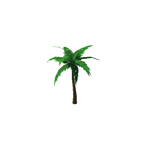 PalmTree_3_s4