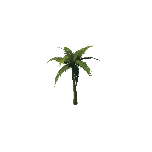 PalmTree_3_s6