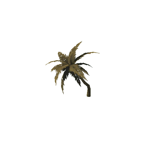 PalmTree_4_s3