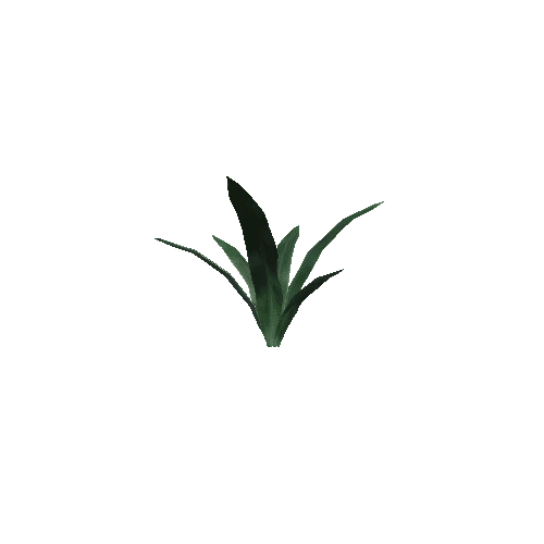 P_Plant_04