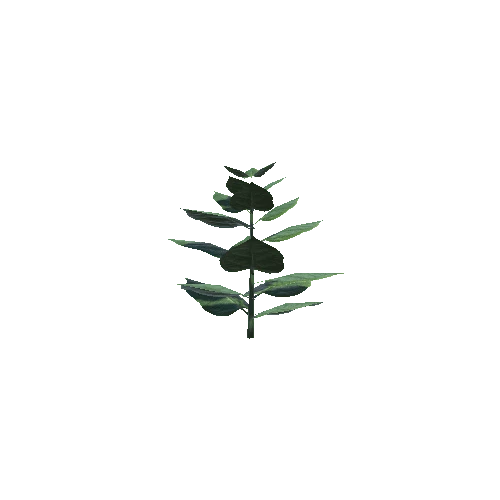 P_Plant_06