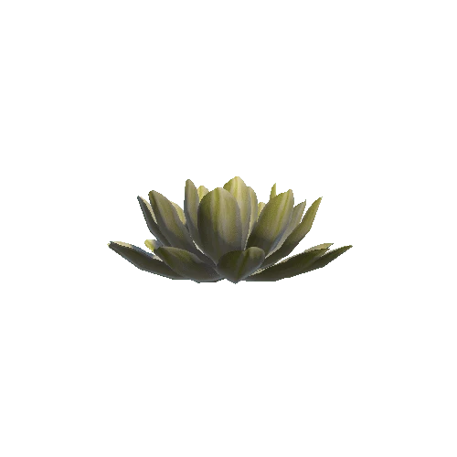 P_Waterlily_Flower_02