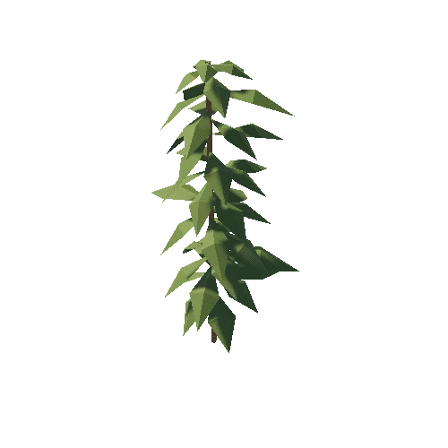 Plant_4