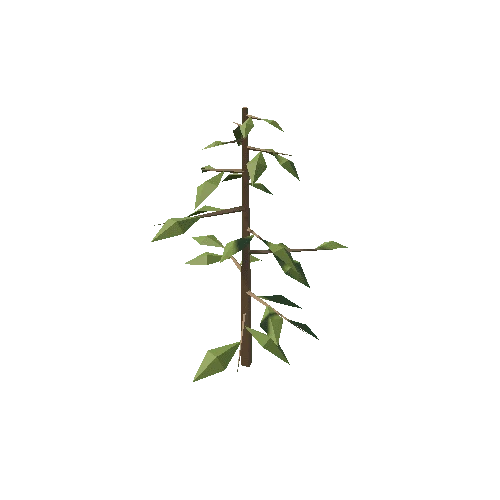 Plant_5