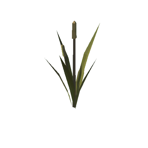 Plant_7