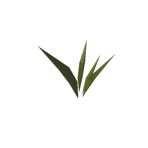 Plant_Grass_2