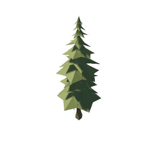 Tree_4