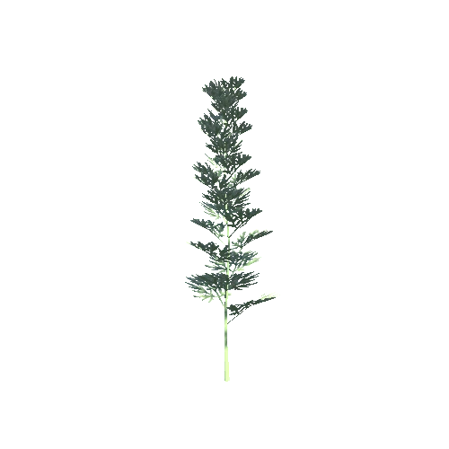 Artemisia2