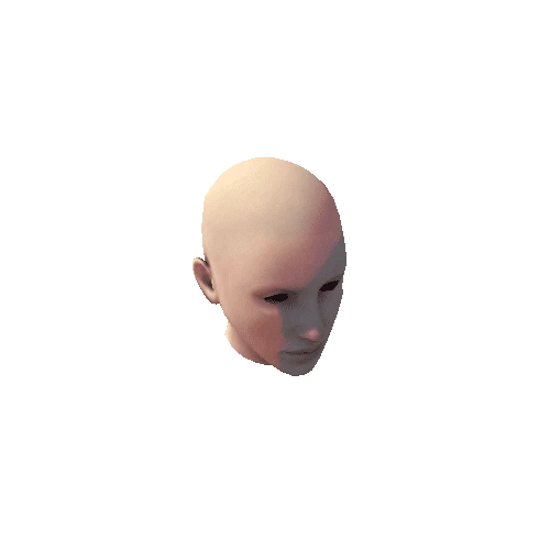 o3n_female_head_LOD1_Skinned