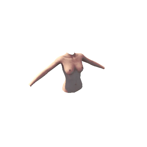 o3n_female_torso_LOD1_Skinned