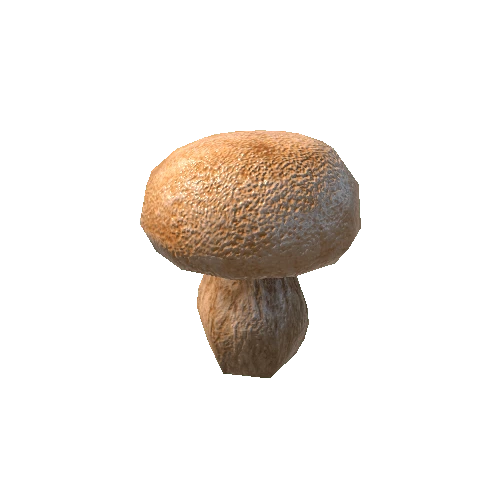Mushroom_a1