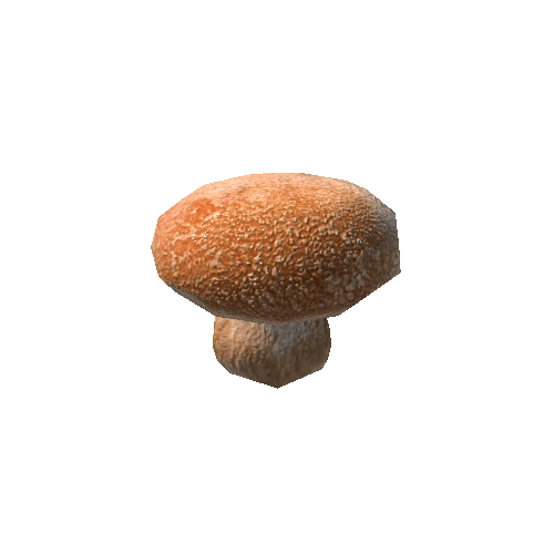 Mushroom_a2