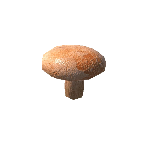 Mushroom_a3