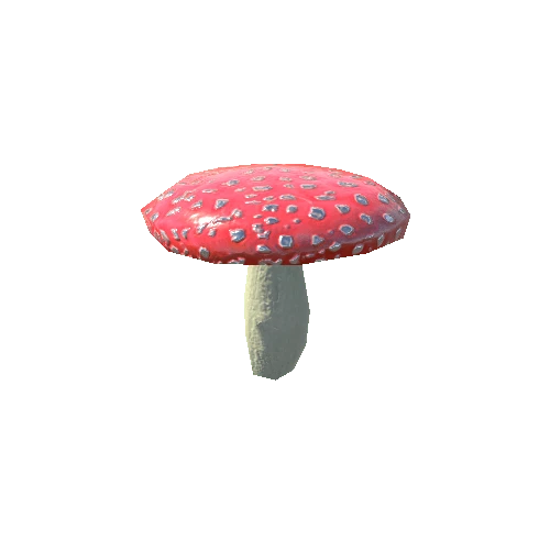 Mushroom_c2