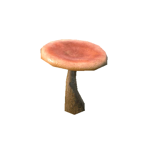 Mushroom_e1