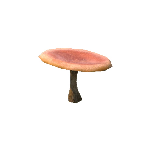 Mushroom_e2