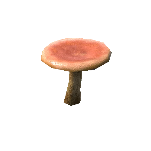 Mushroom_e3