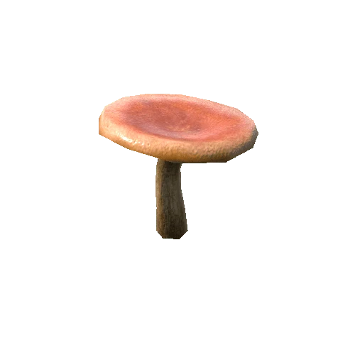 Mushroom_e4