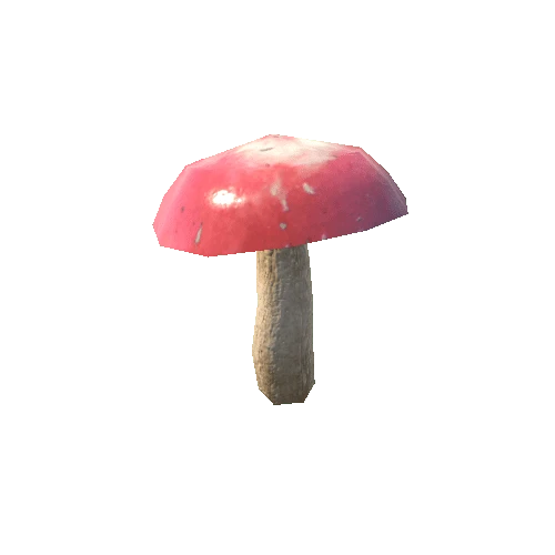 Mushroom_f1