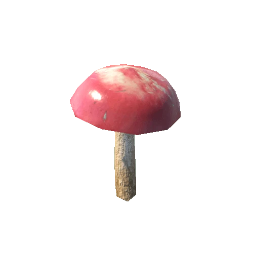 Mushroom_f2