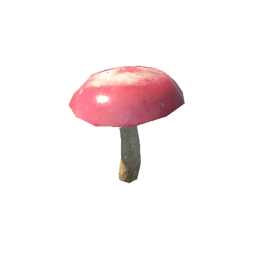 Mushroom_f3