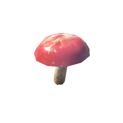 Mushroom_f4