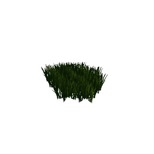 grass1b