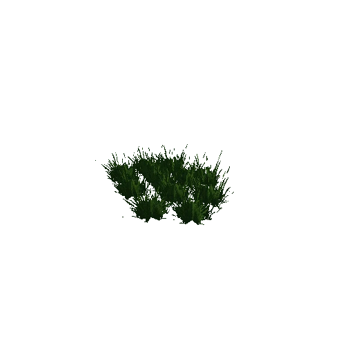 grass2b