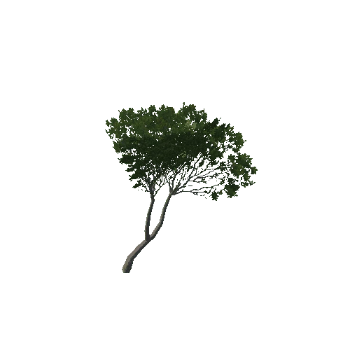 tree11