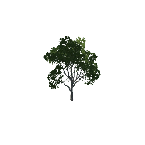 tree8