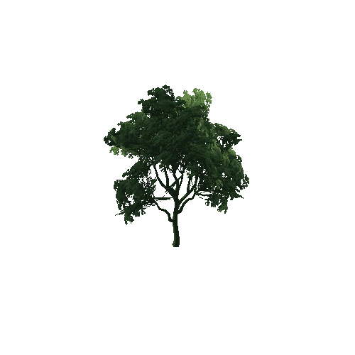 tree9