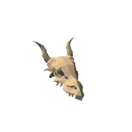 SM_Env_Bone_Skull_01