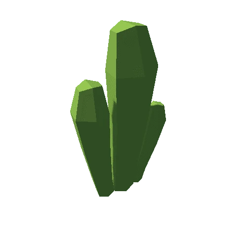 cactus_02_v_03_g