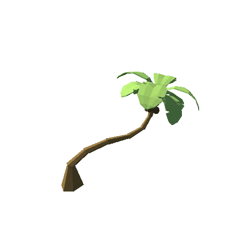 palm_tree_05_v_01_g