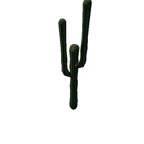 cactus1c
